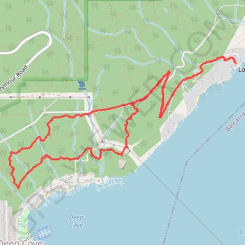 Cove Forest Hike trail, distance, elevation, map, profile, GPS track