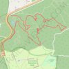 Loop Trail Run in Great Otway National Park trail, distance, elevation, map, profile, GPS track